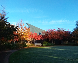 autumn garden outside Hope chapel